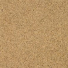 Springtime In Cheviot Carpet