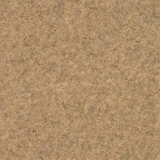 Springtime In Dorset Down Carpet