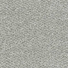 Stainfree Tweed In Silver Shadow Carpet