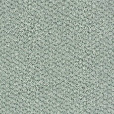 Stainfree Tweed In Spearmint Carpet Stainfree Tweed In Spearmint Carpet