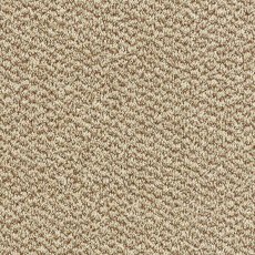 Stainfree Tweed In Taupe Carpet