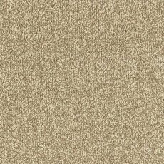 Stainfree Twist In Biscotti Carpet Stainfree Twist In Biscotti Carpet