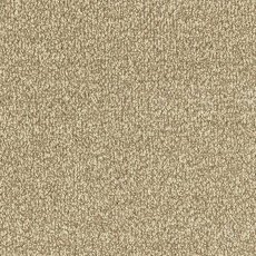 Stainfree Ultra In Biscotti Carpet Stainfree Ultra In Biscotti Carpet