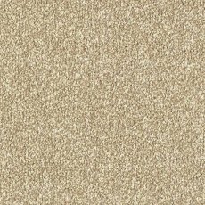 Stainfree Ultra In Latte Carpet