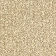 Stainfree Ultra In Summer Breeze Carpet Stainfree Ultra In Summer Breeze Carpet