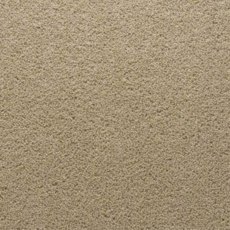 Stateside In Chicago Carpet Stateside In Chicago Carpet