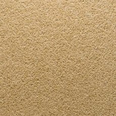 Stateside In Florida Carpet Stateside In Florida Carpet