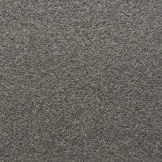 Stateside In Reno Carpet