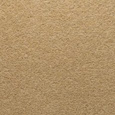 Stateside In Vegas Carpet Stateside In Vegas Carpet