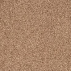 Super Maxim In Chanterelle Carpet