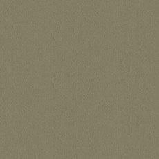 Ulster Velvet In Aspen Green Carpet