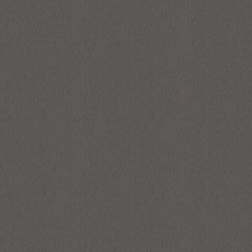 Ulster Velvet In Barnstone Carpet