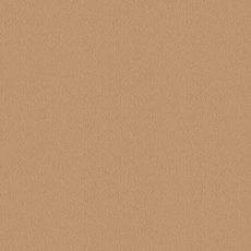 Ulster Velvet In Champagne Carpet Ulster Velvet In Champagne Carpet