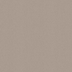 Ulster Velvet In Cloister Carpet