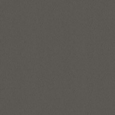 Ulster Velvet In Elephant Carpet Ulster Velvet In Elephant Carpet