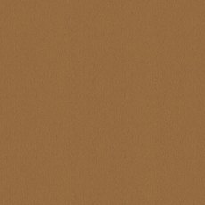 Ulster Velvet In Honey Gold Carpet Ulster Velvet In Honey Gold Carpet