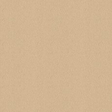 Ulster Velvet In Impala Carpet Ulster Velvet In Impala Carpet