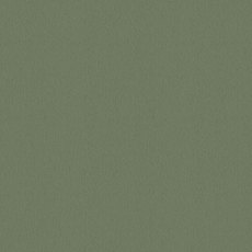 Ulster Velvet In Jade Carpet