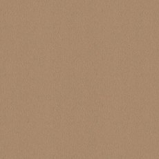 Ulster Velvet In Mead Carpet