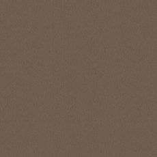 Ulster Velvet In Mushroom Carpet Ulster Velvet In Mushroom Carpet