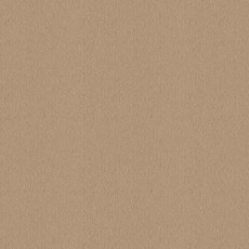 Ulster Velvet In Oatmeal Carpet