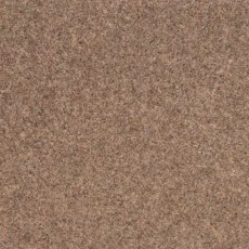 Vermont In Orlando Carpet