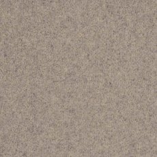 Vermont In Scottsdale Carpet