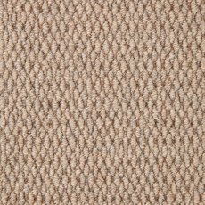 Wembley In Stadium Ginger Carpet Wembley In Stadium Ginger Carpet