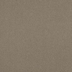 York Wilton In Squirrel Carpet York Wilton In Squirrel Carpet