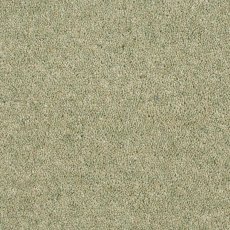 Aldiss Tradition Twist in Alpine Meadow Carpet