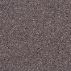 Aldiss Tradition Twist in Beluga Carpet Aldiss Tradition Twist in Beluga Carpet