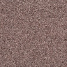 Aldiss Tradition Twist in Elephant Carpet