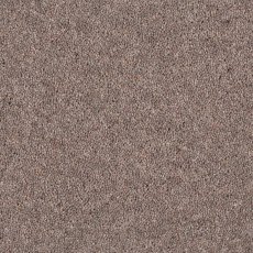 Aldiss Tradition Twist in Koala Carpet