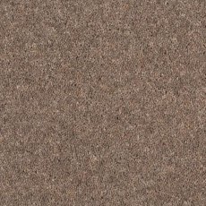 Aldiss Tradition Twist in Wild Mink Carpet