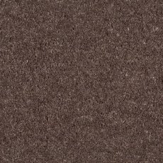 Aldiss Heritage Twist in Mocha Carpet Aldiss Heritage Twist in Mocha Carpet