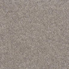 Aldiss Heritage Twist in Nickle Carpet