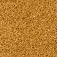 Aldiss Heritage Twist in Old Gold Carpet Aldiss Heritage Twist in Old Gold Carpet