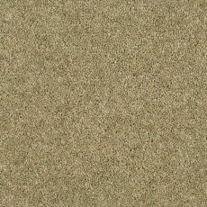 Aldiss Heritage Twist in Olive Garden Carpet Aldiss Heritage Twist in Olive Garden Carpet