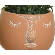 Kaemingk Faux Plants in Face Planters