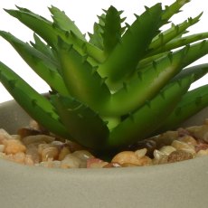 Kaemingk Plastic Potted Short Faux Succulent