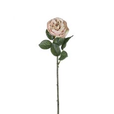 Gallery Direct Rose Stem Light Pink Gallery Direct Rose Stem Light Pink
