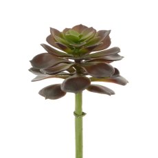 Floralsilk Succulent Camellia Pick Floralsilk Succulent Camellia Pick