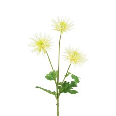 Floralsilk Spider Mum