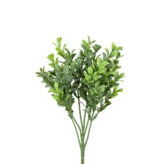 Floralsilk New Boxwood Pick Floralsilk New Boxwood Pick