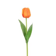 Floralsilk Triumph Tulip Orange Floralsilk Triumph Tulip Orange
