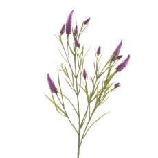 Floralsilk Narrowleaf Crimson Clover Purple Floralsilk Narrowleaf Crimson Clover Purple