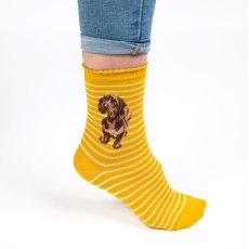 Wrendale Little One Dachshund Socks