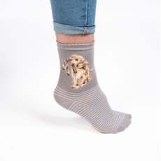 Wrendale Grey Hopeful Labrador Socks