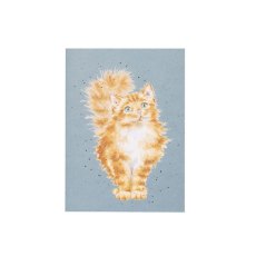 Wrendale Just Purrr-Fect Cat A6 Notebook Wrendale Just Purrr-Fect Cat A6 Notebook