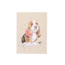 Wrendale Just For You Basset Hound A6 Notebook Wrendale Just For You Basset Hound A6 Notebook
